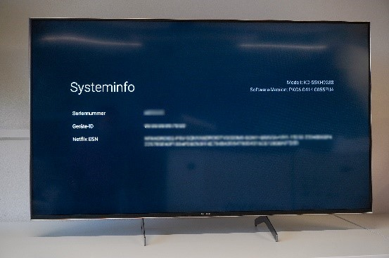 Systeminfo-Bildschirm